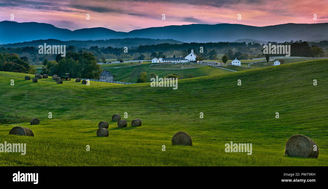 Cheval de ferme et des balles de foin à Albemarle County, en Virginie, à la fin septembre Banque D'Images