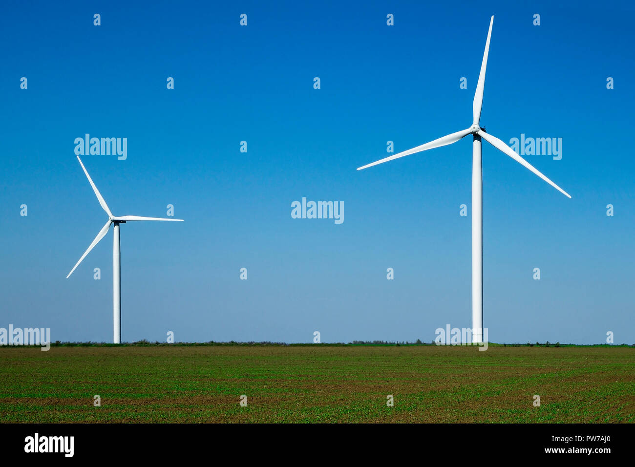 Les éoliennes en été sur le terrain les jours ensoleillés. Côté clair et lumineux Vue au sol. Pas de personnes. Les énergies renouvelables et écologiques de production d'énergie alternative Banque D'Images