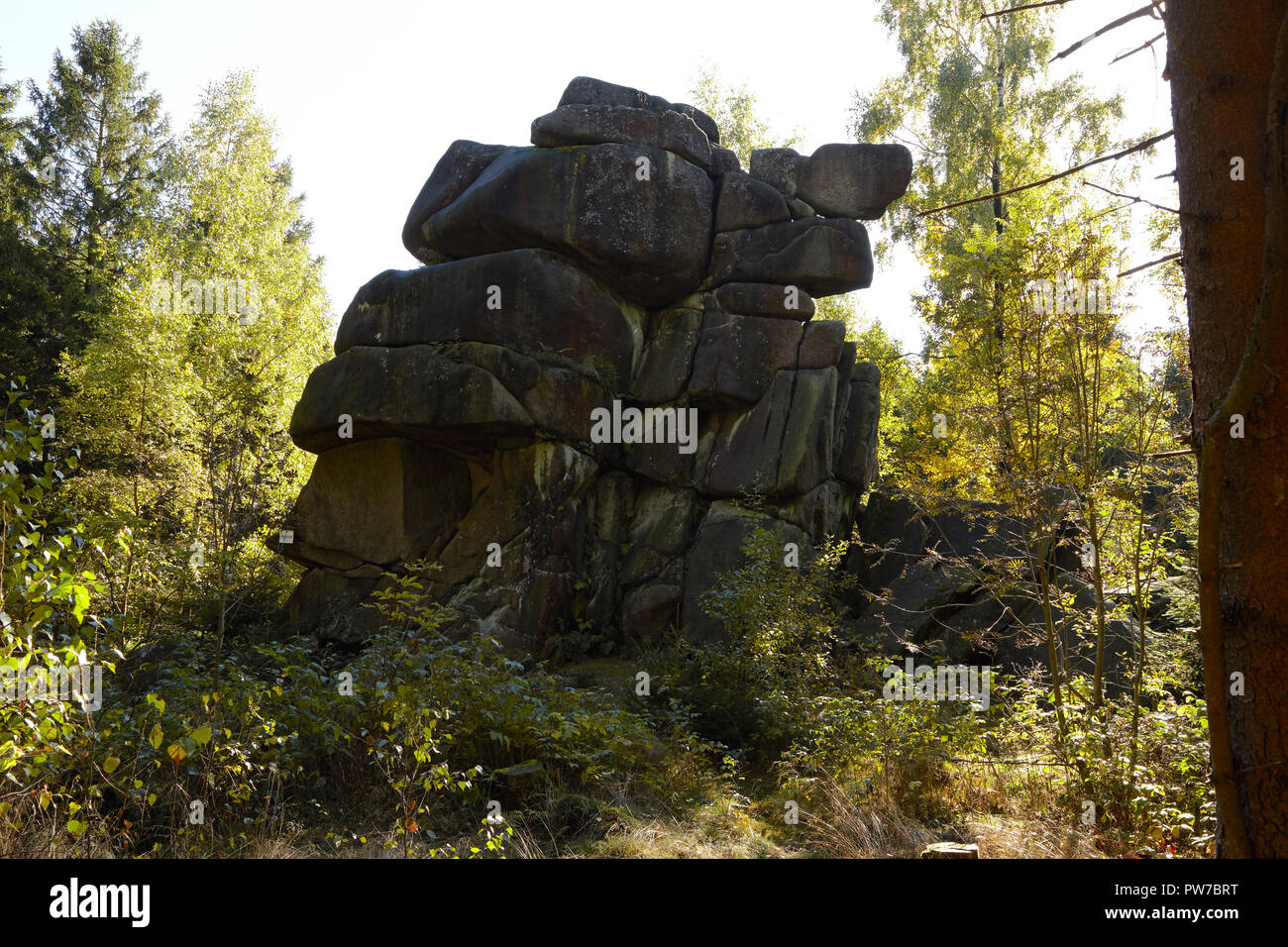 Énorme rocher dans une forêt d'automne dans les montagnes du Harz Banque D'Images