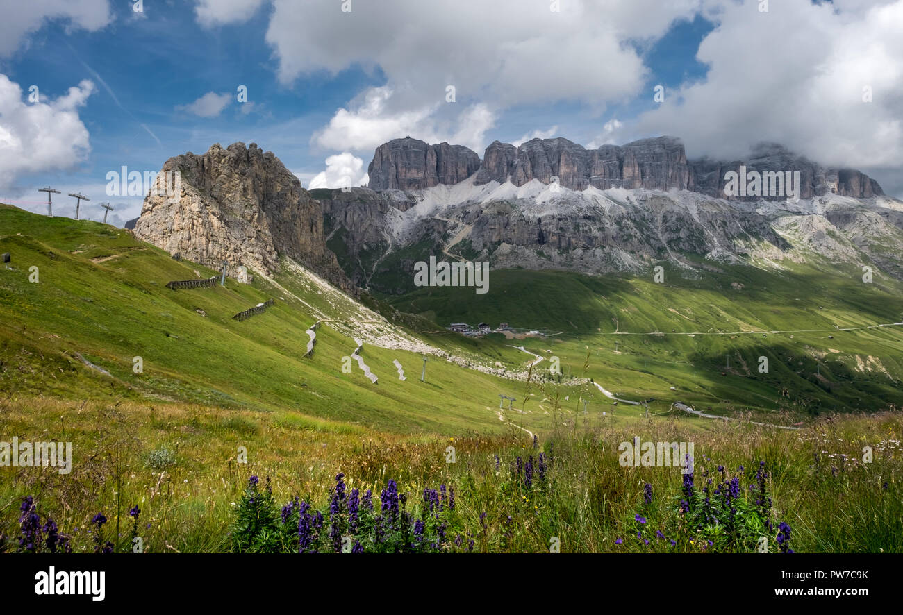 Beau paysage dans les Dolomites italiennes, avec des fleurs de montagne et vue sur rocher de groupe du Sella, Banque D'Images