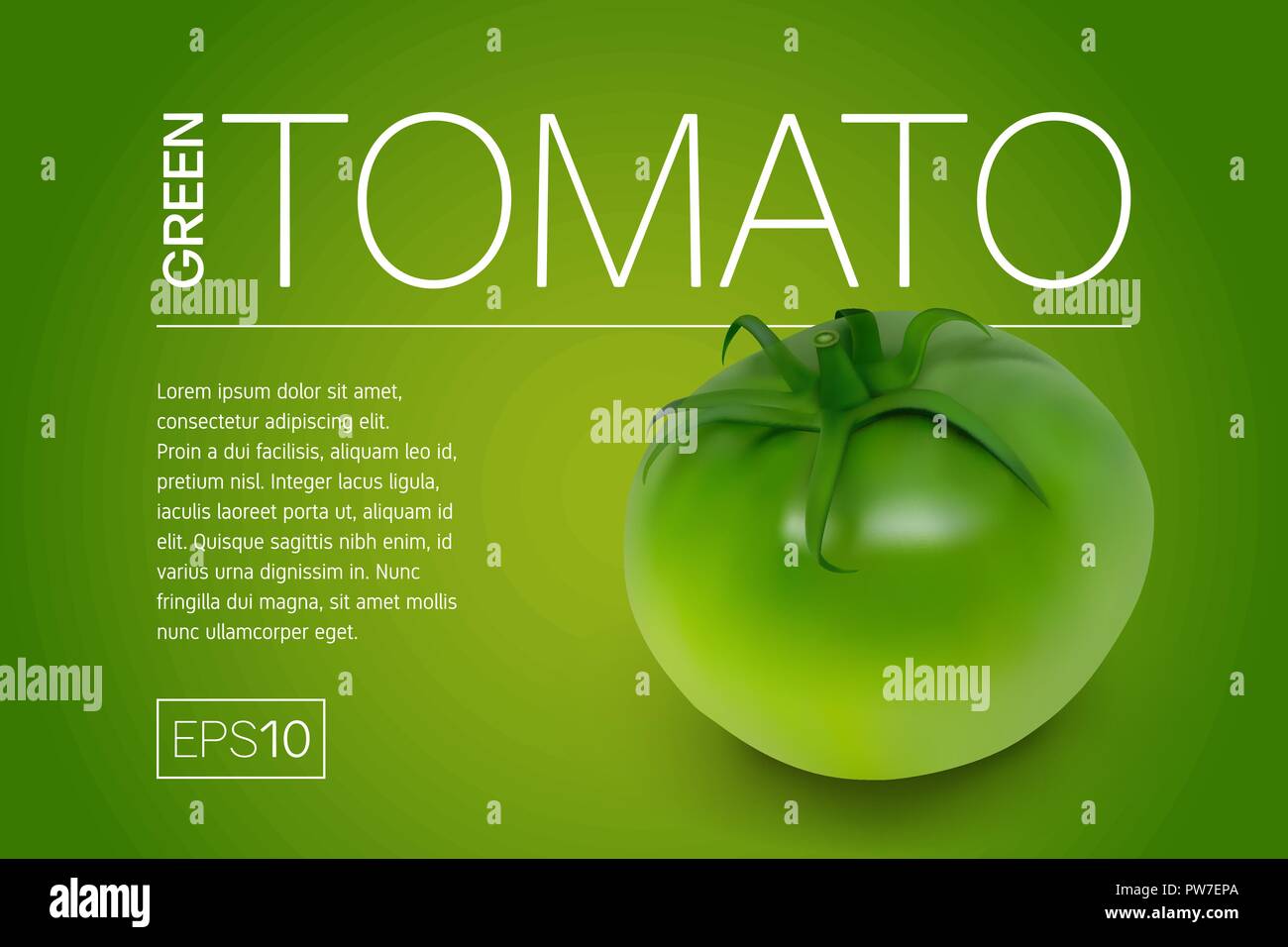 Tomates vertes vert sur fond vert. Illustration de Vecteur