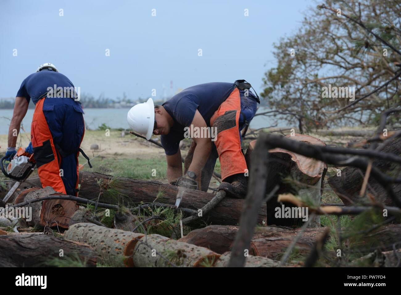 Les équipages de la Garde côtière canadienne retirer les débris d'un arbre tombé le Secteur de San Juan après l'Ouragan Maria le 21 septembre 2017. Banque D'Images