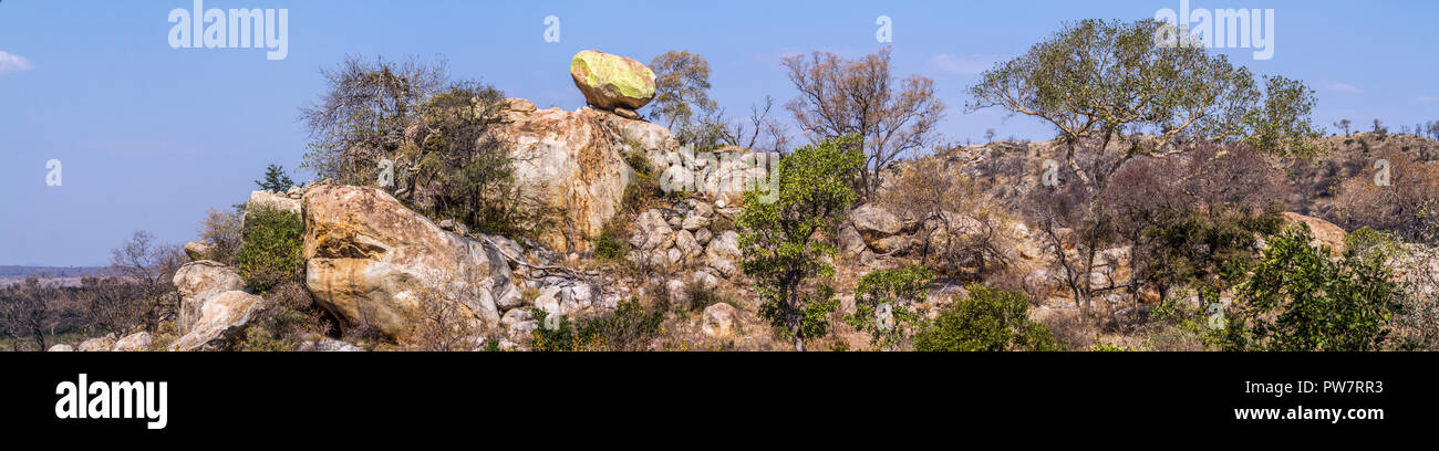 Paysage de rochers dans le parc national Kruger, Afrique du Sud Banque D'Images
