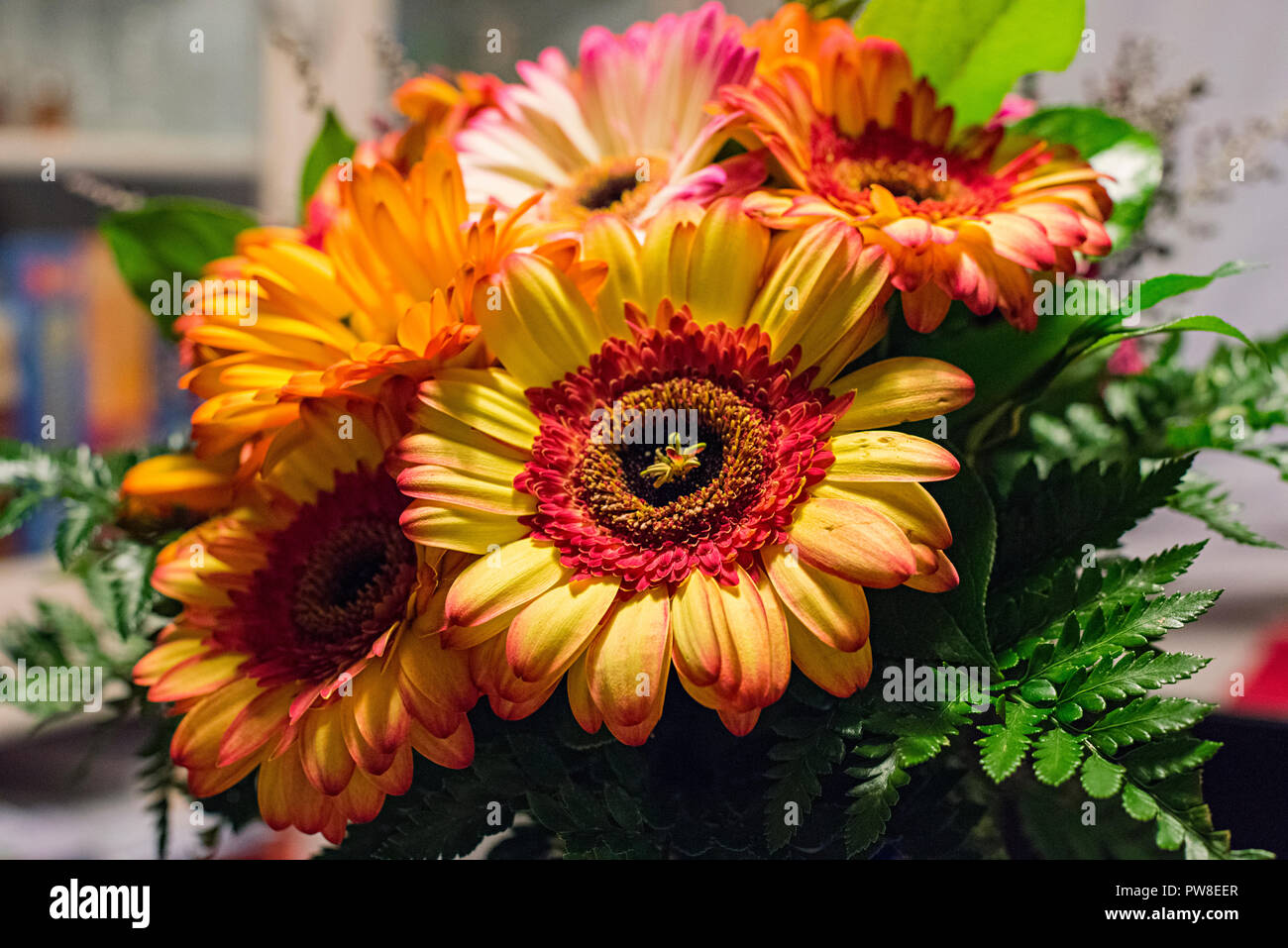 Un bouquet de gerberas orange Banque D'Images