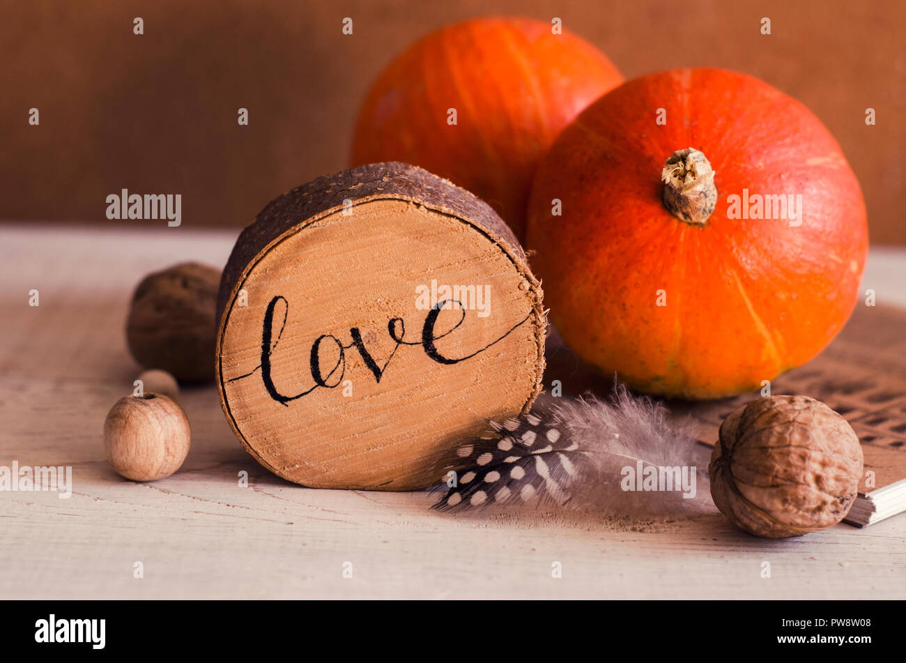 La composition avec la citrouille, noix,plumes, objets en bois. Photo de saison d'automne pour Thanksgiving Day, Halloween Banque D'Images