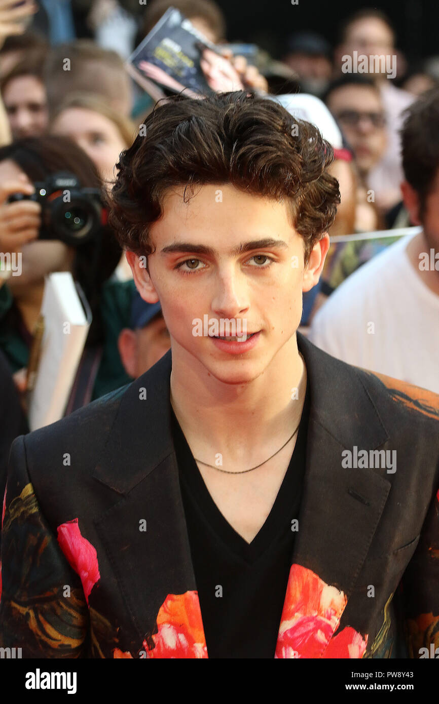 Timothée Riche Timothee chalamet london film festival Banque de photographies et d ...