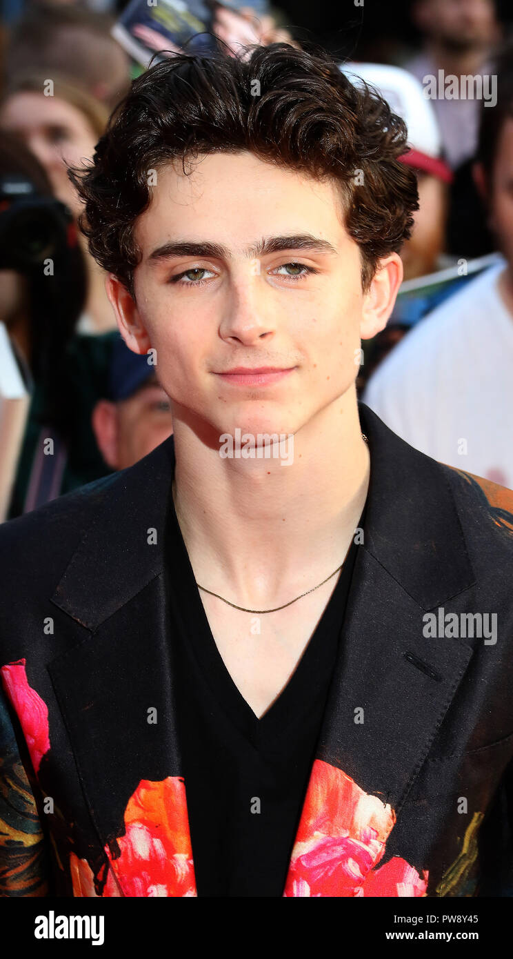 Timothée Riche Timothee chalamet london film festival Banque de photographies et d ...