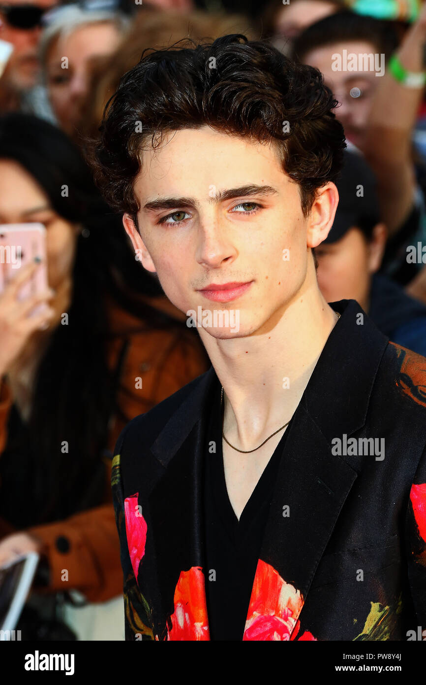 Timothée Riche Timothee chalamet Banque de photographies et d’images à haute ...