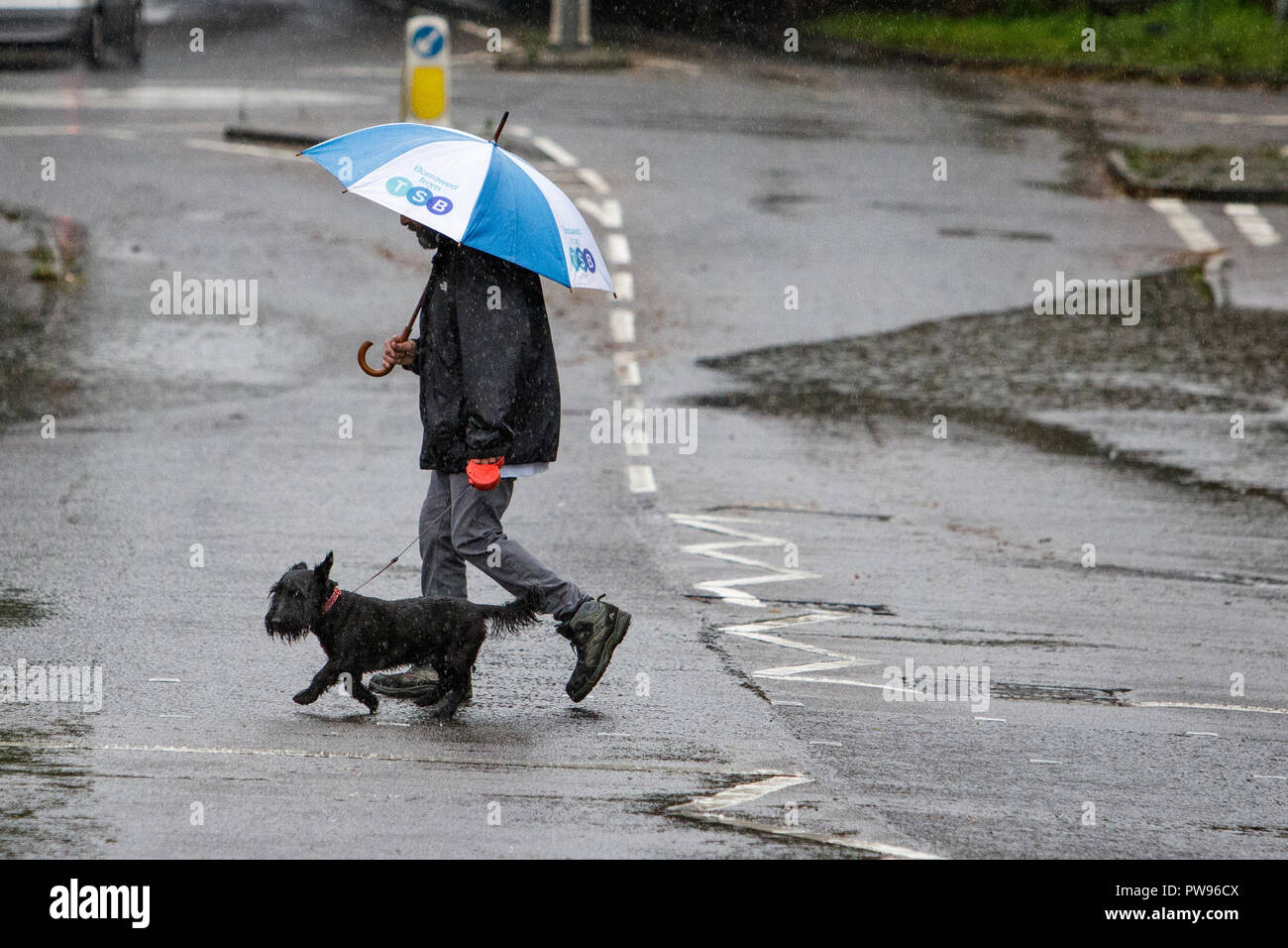 Chippenham, Wiltshire, Royaume-Uni. 14 octobre, 2018. Un homme promenait son chien est photographié bravant la forte pluie à Chippenham comme des orages font leur chemin à travers le sud de l'Angleterre. Credit : Lynchpics/Alamy Live News Banque D'Images