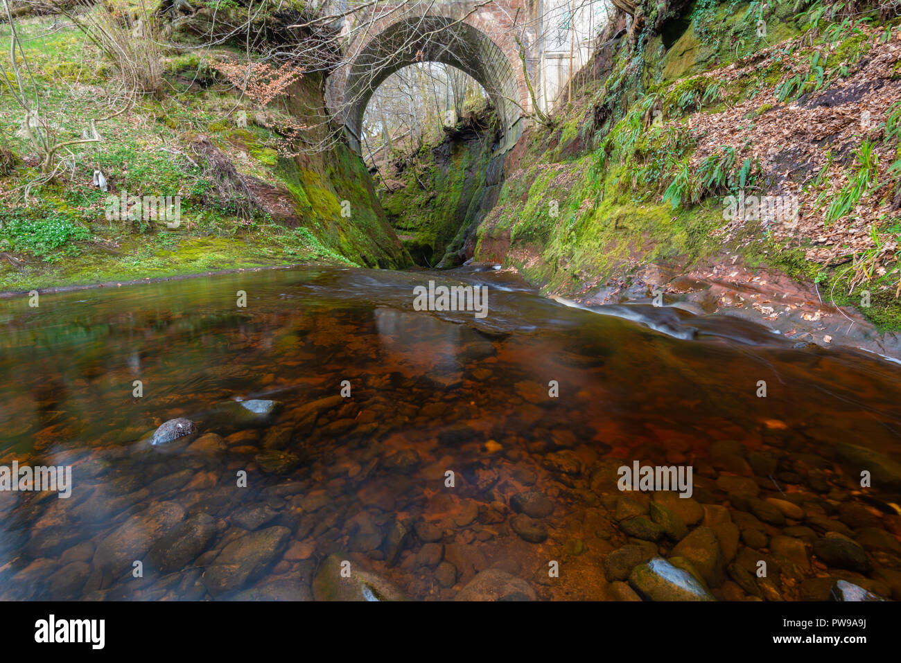 La rivière rouge sang dans une gorge verte. Devil's Pulpit, Finnich Glen, près de Killearn, Ecosse, Royaume-Uni Banque D'Images