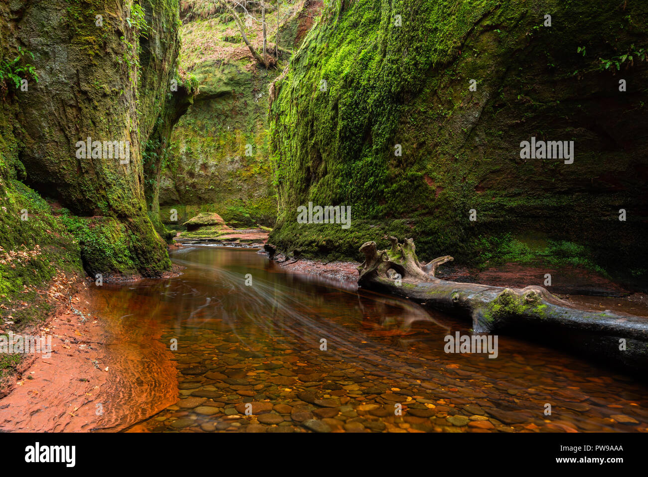 La rivière rouge sang dans une gorge verte. Devil's Pulpit, Finnich Glen, près de Killearn, Ecosse, Royaume-Uni Banque D'Images