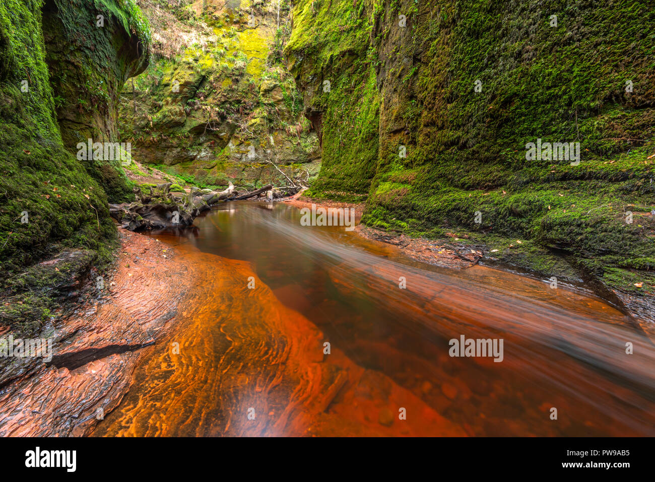 La rivière rouge sang dans une gorge verte. Devil's Pulpit, Finnich Glen, près de Killearn, Ecosse, Royaume-Uni Banque D'Images