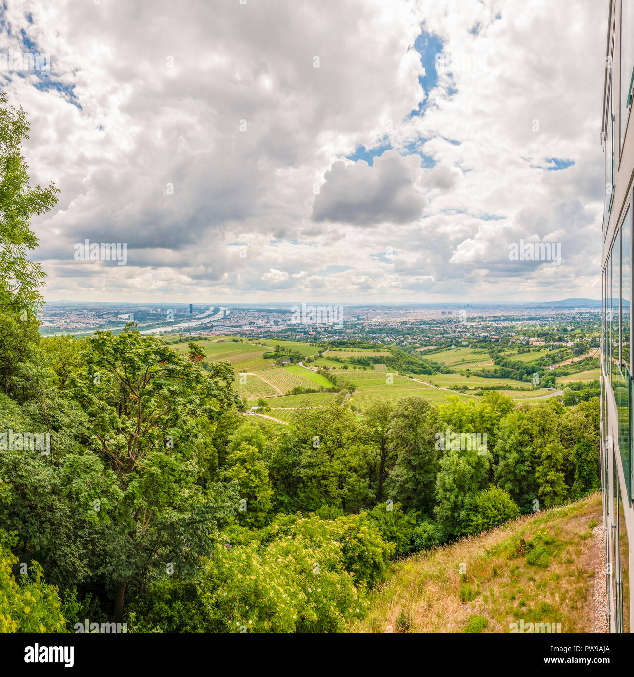 Le Kahlenberg se trouve dans le Bois de Vienne et est l'une des destinations les plus populaires pour les excursions à partir de Vienne, offrant une vue sur toute la ville. Banque D'Images