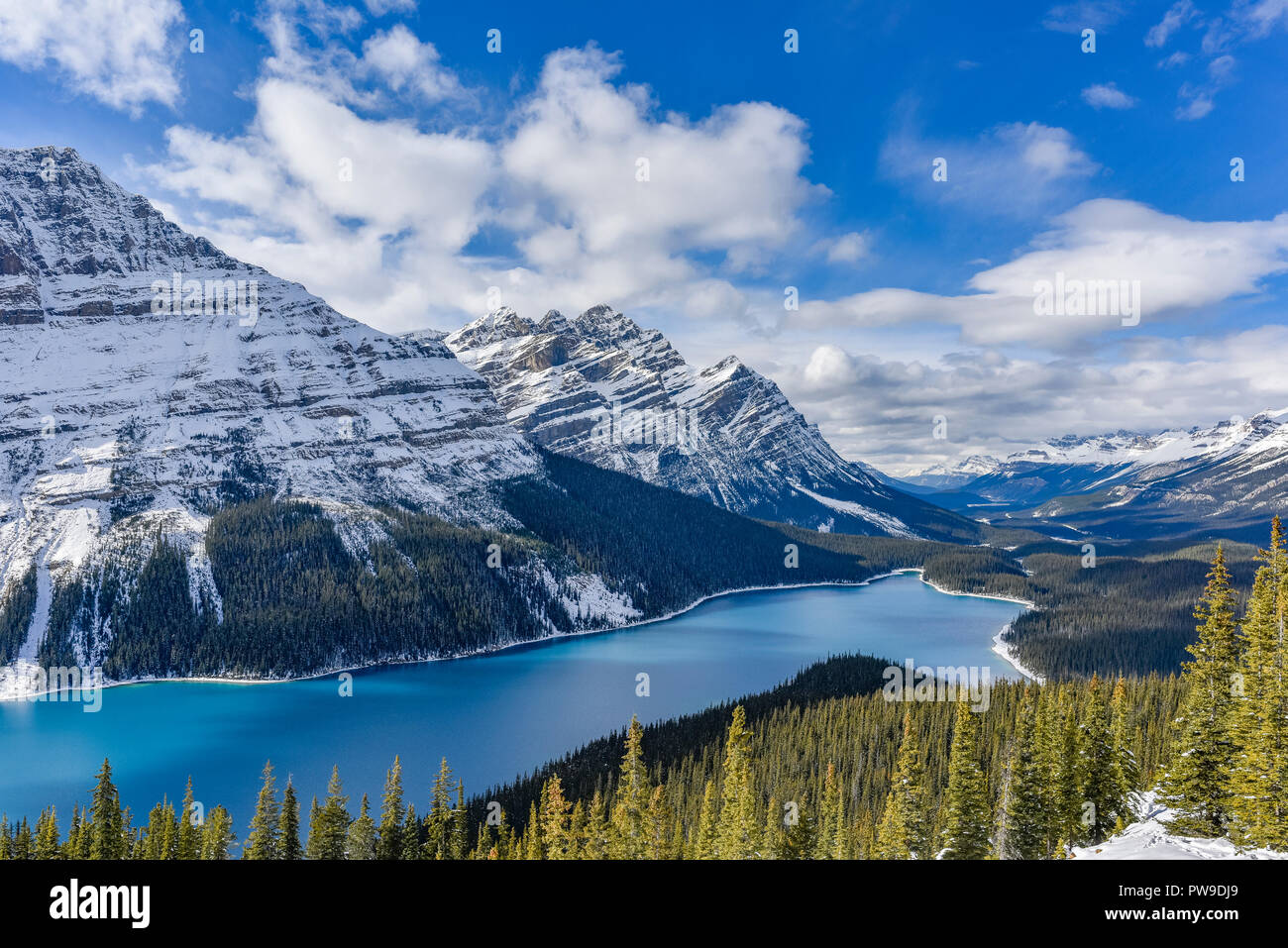 Le lac Peyto, hiver, Banff National Park, Alberta, Canada Banque D'Images