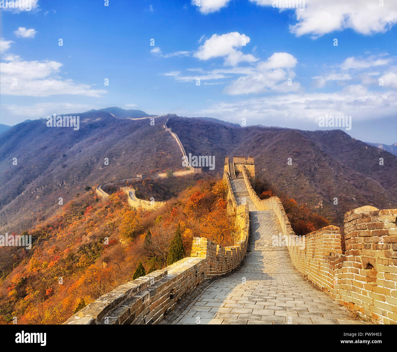 La grande muraille de Chine - noboy promenades le long passage au sommet de l'échelle de la section du mur élevé dans les montagnes de Mutianyu le long d'une journée d'automne. Longue chaîne de th Banque D'Images