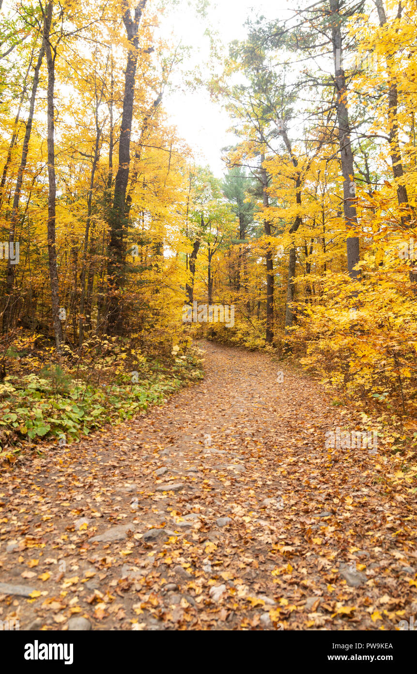 Randonnées le nid d'Aigle sentier Lookout à Calabogie Ontario Banque D'Images