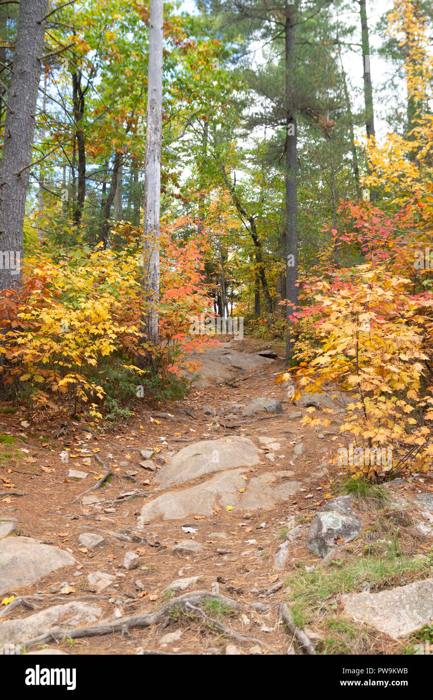 Randonnées le nid d'Aigle sentier Lookout à Calabogie Ontario Banque D'Images