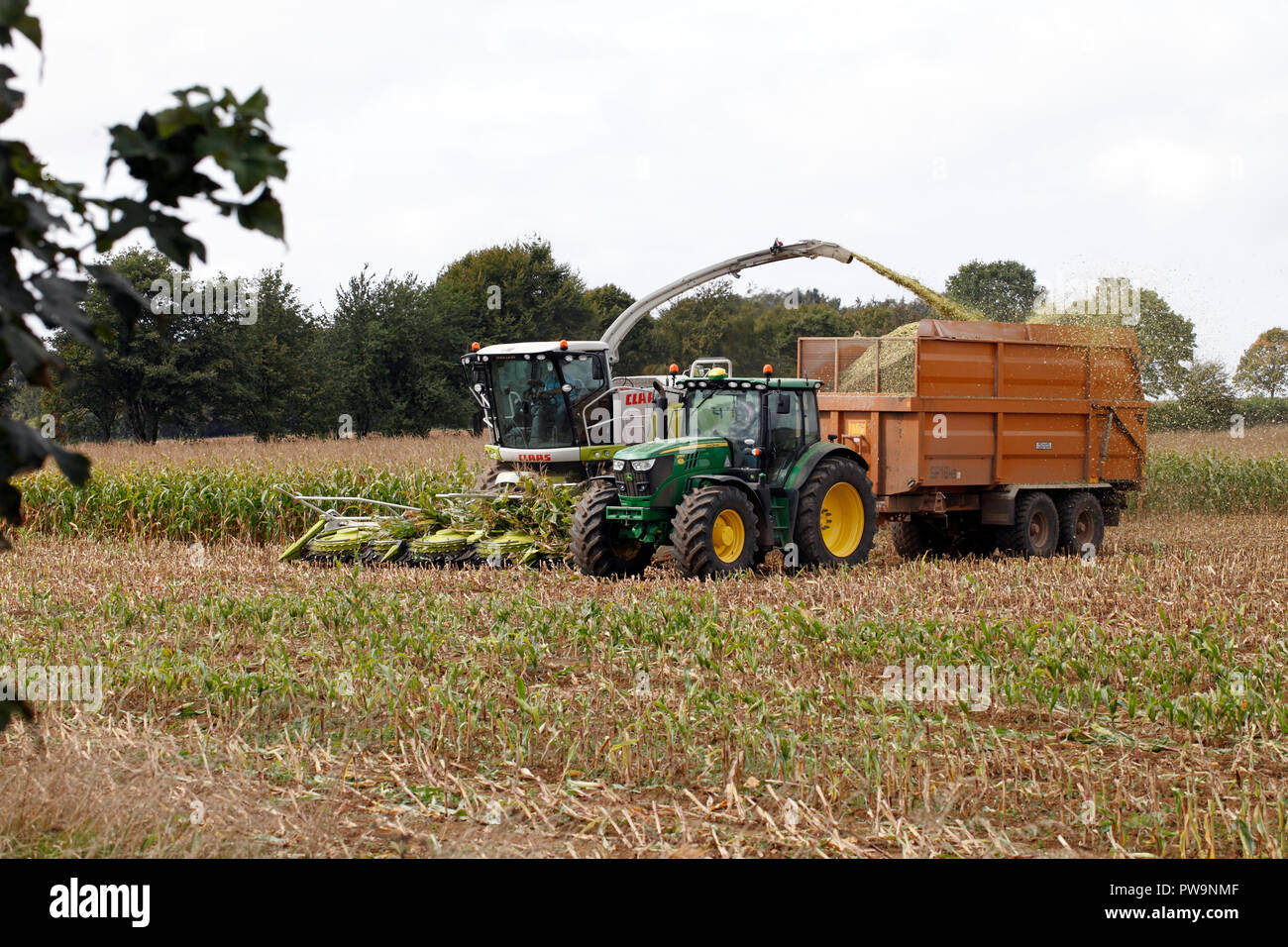 La récolte de maïs Claas Jaguar machine remorquée par un tracteur. Culture, récolte, l'ensileuse. Banque D'Images