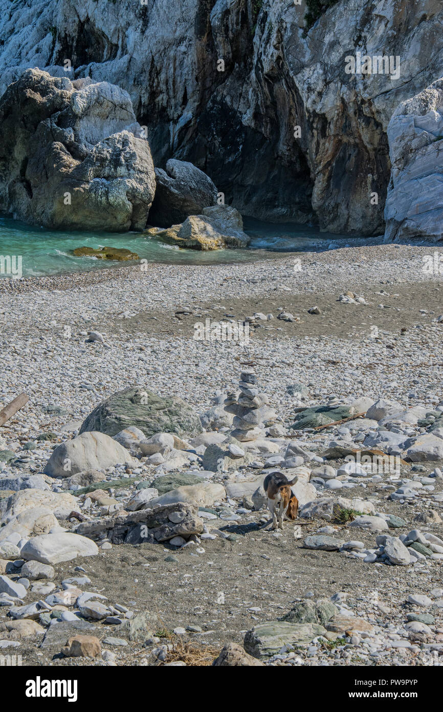 Pont de Damouchari, site de tournage pour 'Mamma Mia', Pelion, Grèce Banque D'Images