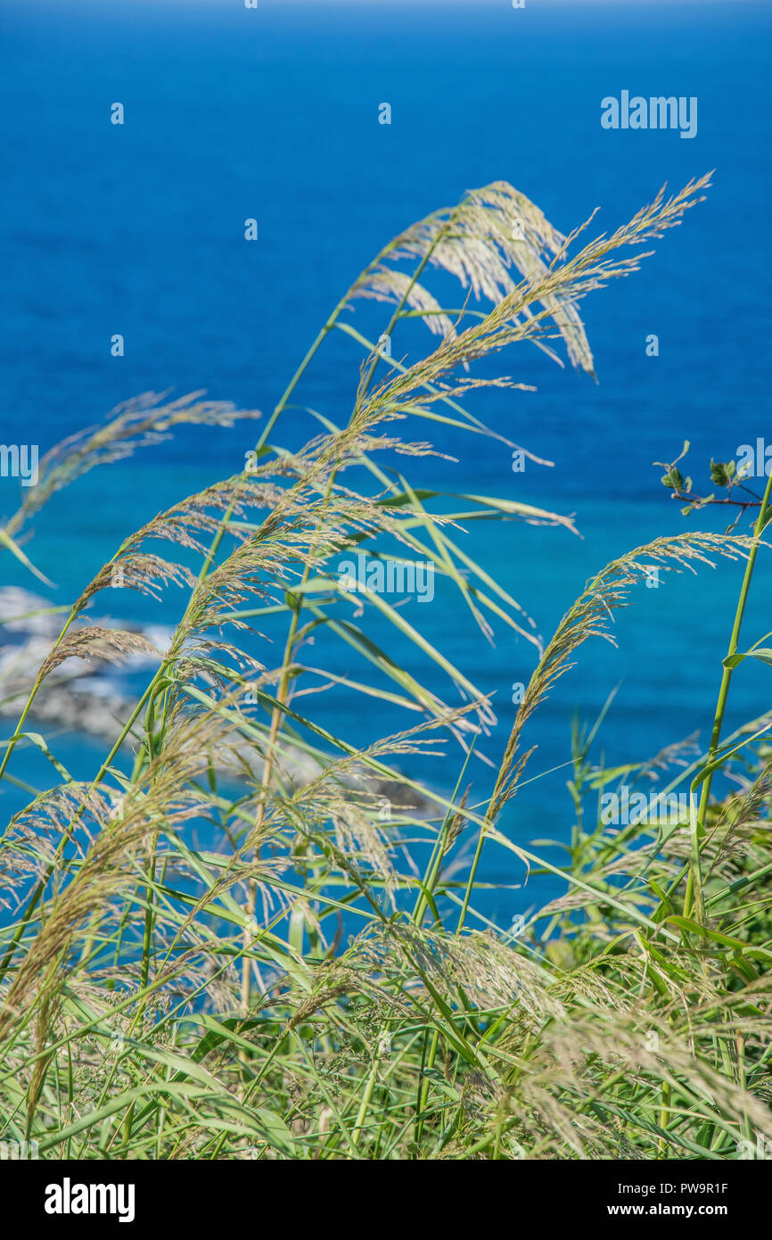 Pont de Damouchari, site de tournage pour 'Mamma Mia', Pelion, Grèce Banque D'Images