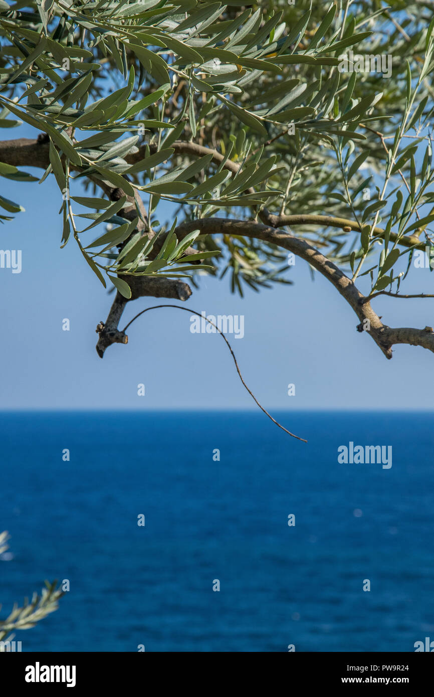 Pont de Damouchari, site de tournage pour 'Mamma Mia', Pelion, Grèce Banque D'Images