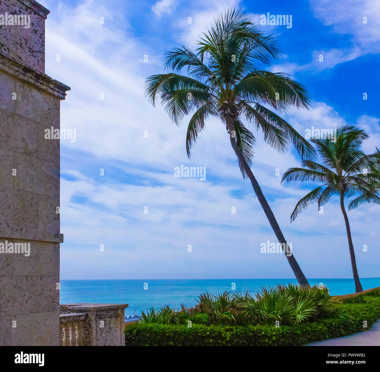 Palm Beach, Floride, USA - océan et arbres sur Worth Avenue. Banque D'Images