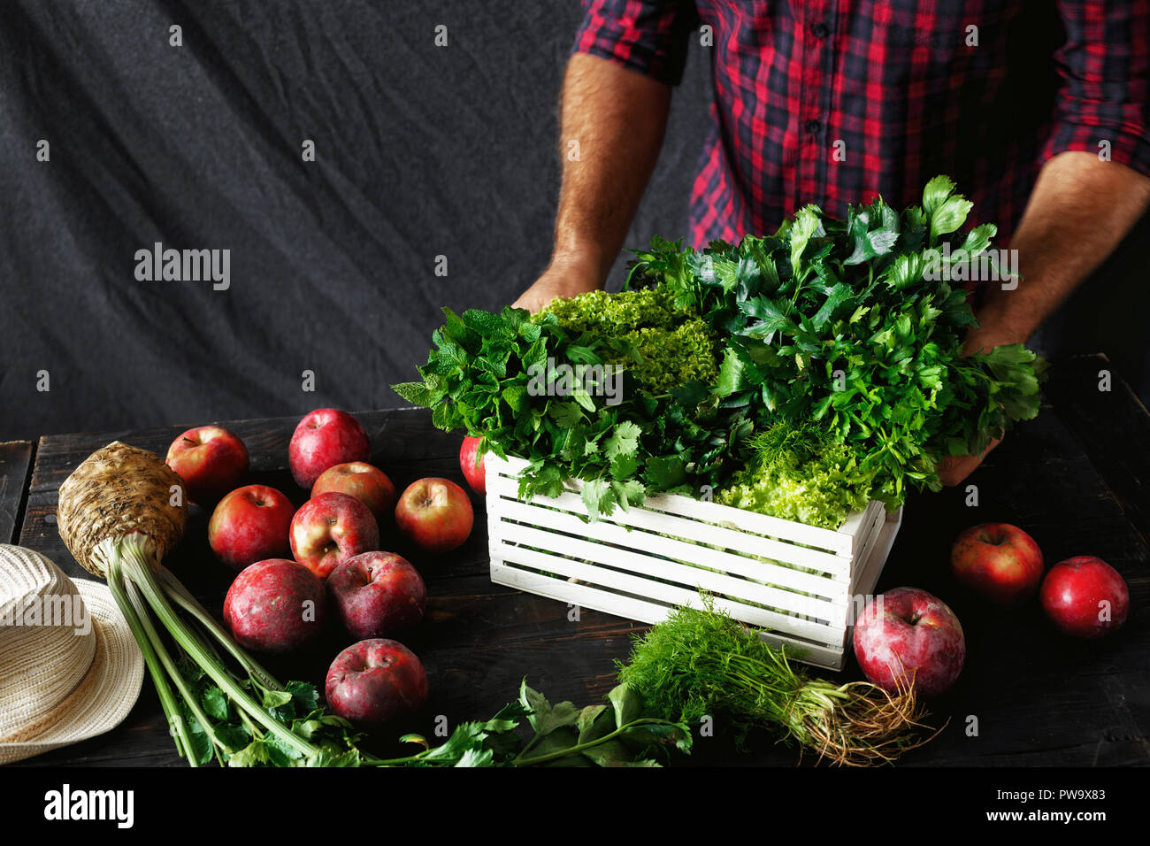 Agriculteur avec des herbes dans la boîte en bois sur table en bois foncé avec des pommes rouges. Agriculture et jardinage concept Banque D'Images