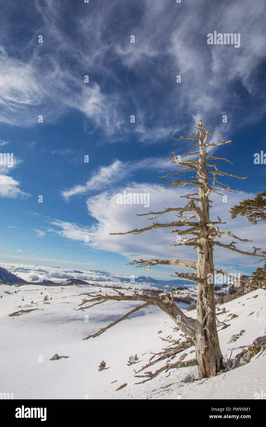 Le parc national de Pollino Banque D'Images