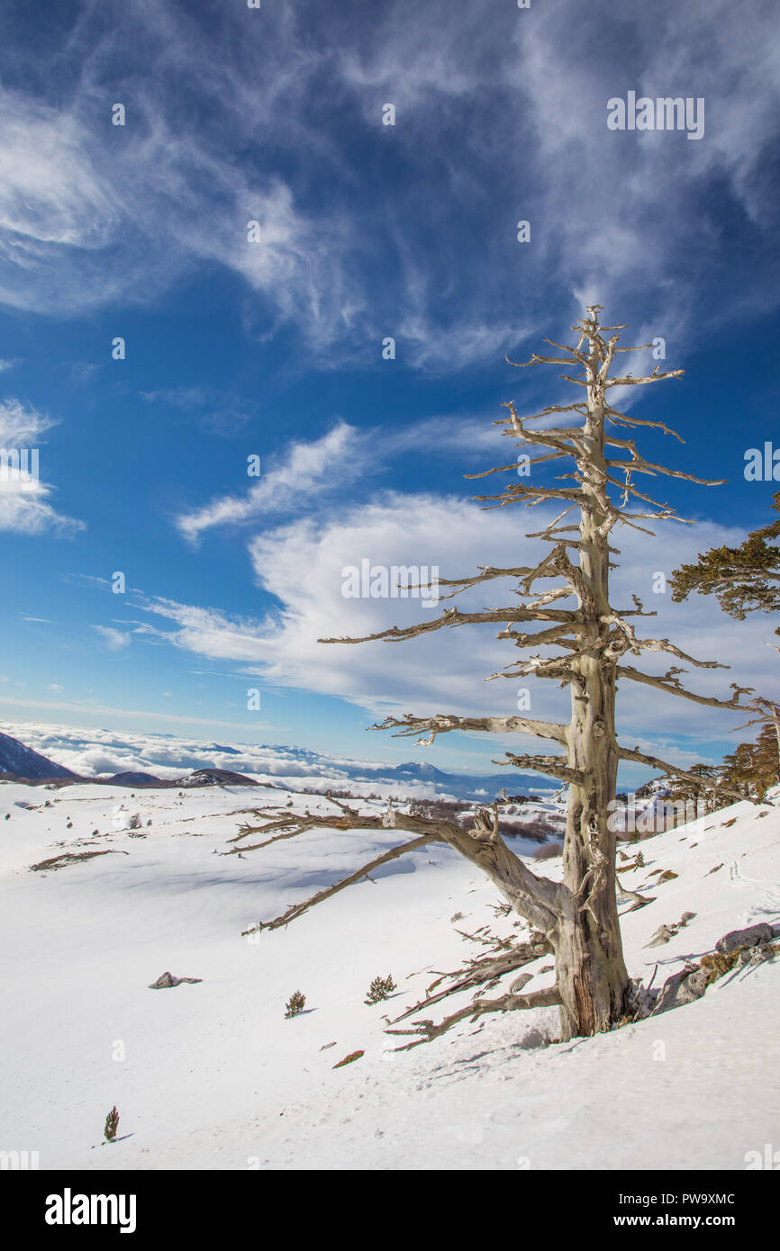 Le parc national de Pollino Banque D'Images