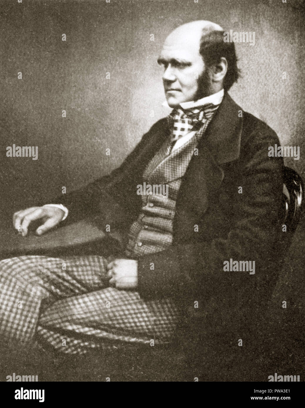 Charles Darwin, 1856 studio photographique portrait du grand naturaliste et scientifique, auteur de l'origine des espèces publiée en 1859 Banque D'Images