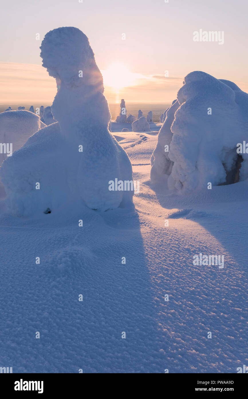 Les rayons du soleil sur les arbres couverts de neige, Parc National de Riisitunturi, Espoo, Helsinki, Finlande Banque D'Images