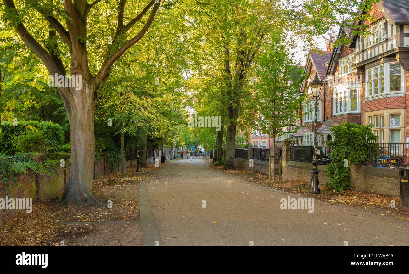 Une image d'un beau quartier verdoyant de Leicester appelé nouvelle promenade qui est une zone piétonne. De nombreux bâtiments ont été construits au cours de la Géorgie et V Banque D'Images