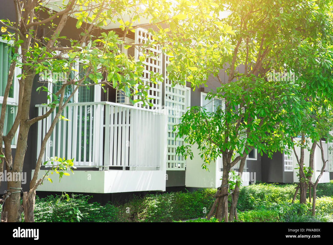 Green nature terrasse d'appartement en copropriété à l'éco bon environnement de vie avec de l'air frais et l'espace de l'ozone. Banque D'Images