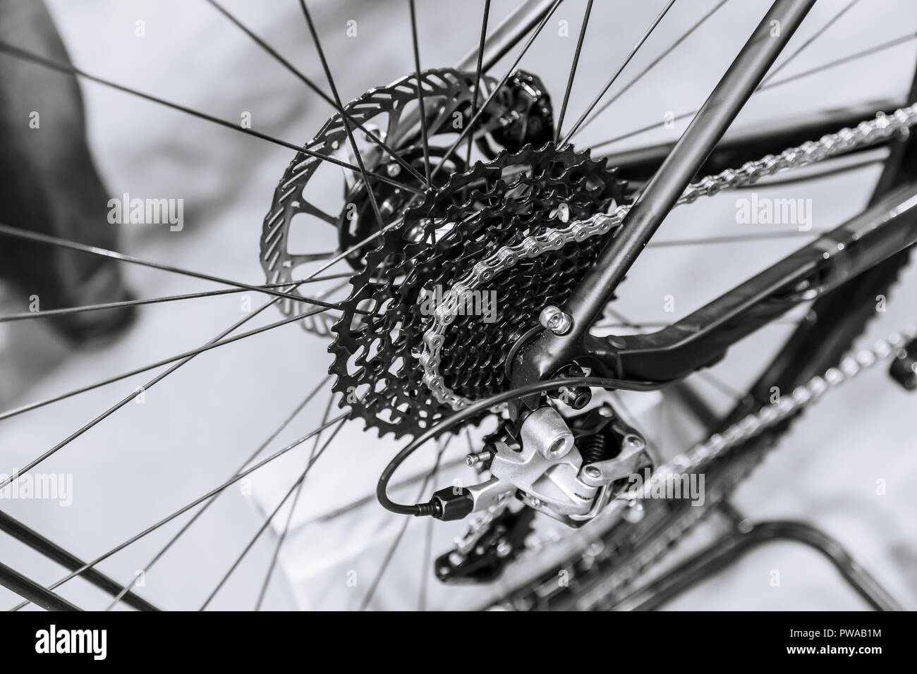 Chaîne de vélo frein à disque arrière et composante de dérailleur Banque D'Images