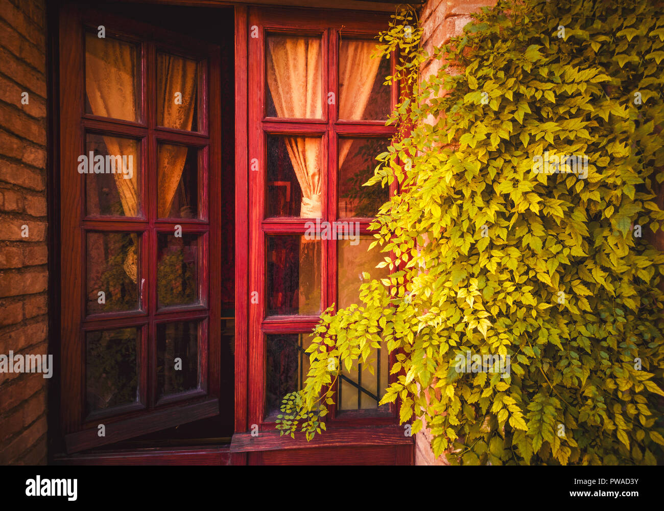 Fenêtre de vigne plante décorative décoration fond rétro fantasmagorique effrayant Banque D'Images