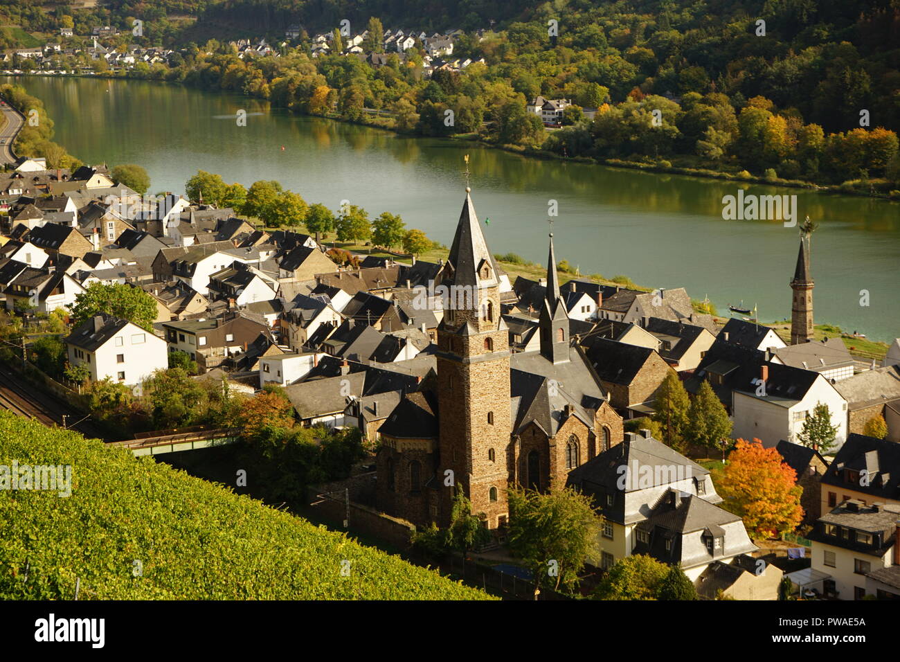 Blick auf Hatzenport, Weinberge und Mosel, Moselsteig Terrassenmosel,,, Moseltal Rheinland Pfalz, Allemagne Banque D'Images