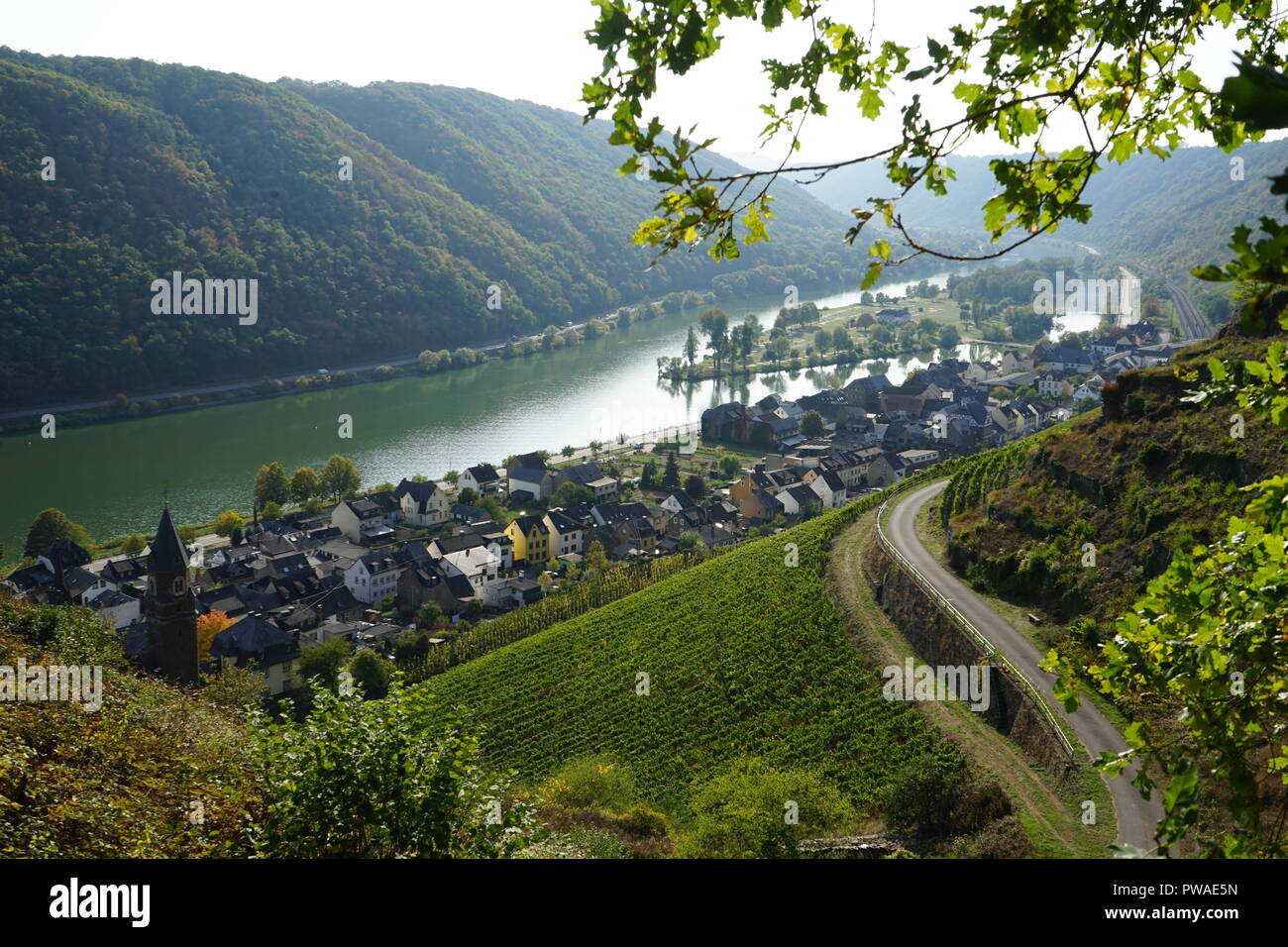 Blick auf Hatzenport, Weinberge und Mosel, Moselsteig Terrassenmosel,,, Moseltal Rheinland Pfalz, Allemagne Banque D'Images