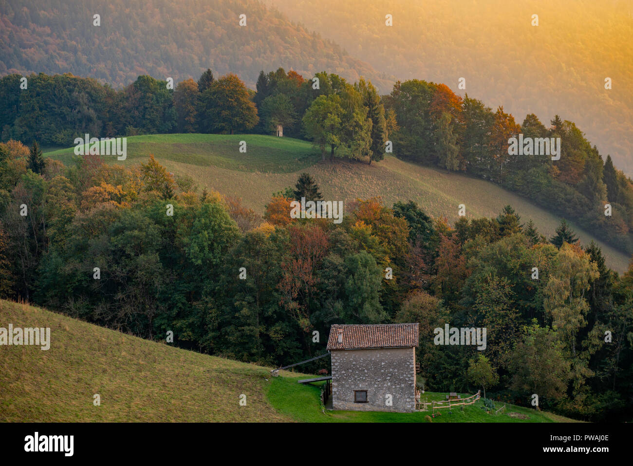 Ferme entourée d'arbres à l'automne Banque D'Images