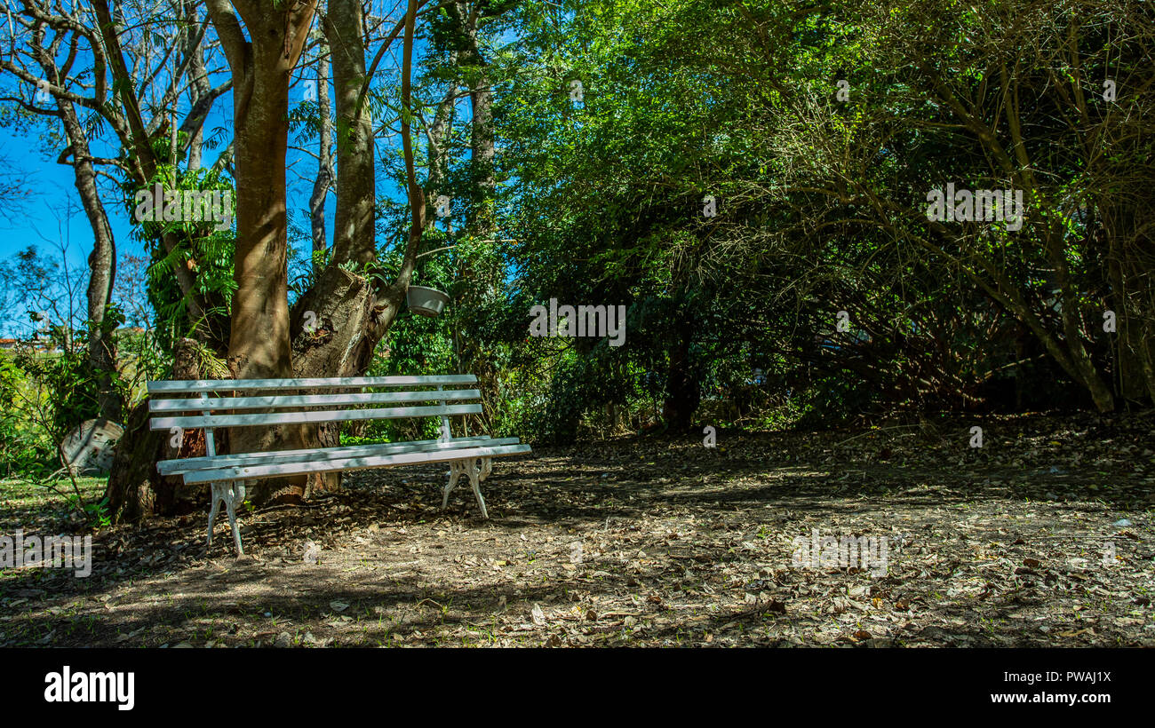 Banc blanc sous les arbres. Banc en bois blanc à partir de la chambre jardin. concept de place pour vous détendre. Banque D'Images