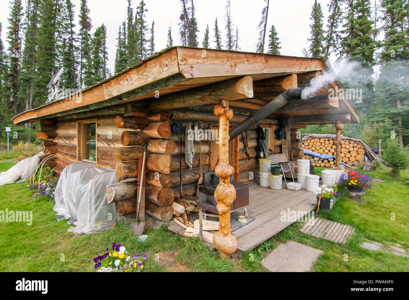 Fleuve Yukon, Territoire du Yukon, Alaska, USA. Chalet en bois dans la