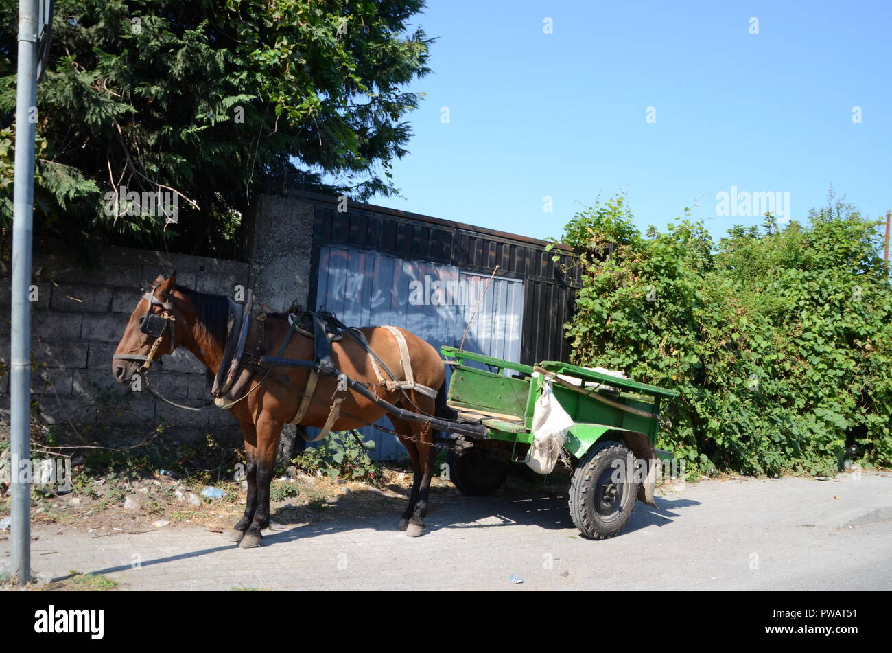 Un Agriculteur Monte à Cheval Sur Une Charrette, L'artisanat Agricole