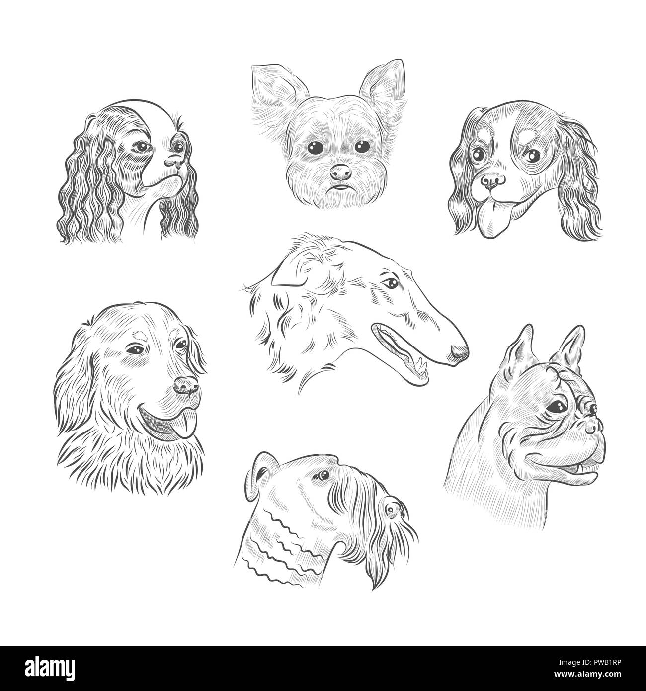 Race de chien portraits croquis dessinés à la main. Têtes de chien collection isolé sur fond blanc. Illustration de Vecteur