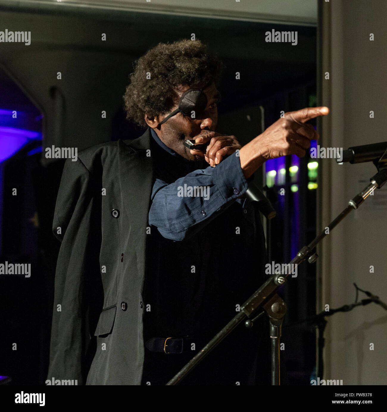 New York, NY - 13 octobre 2018 : Charlie Sayles, joue avec les Bleus à Loft parti une nuit pour l'âme pour le Jazz Foundation of America à Hudson Studios Banque D'Images