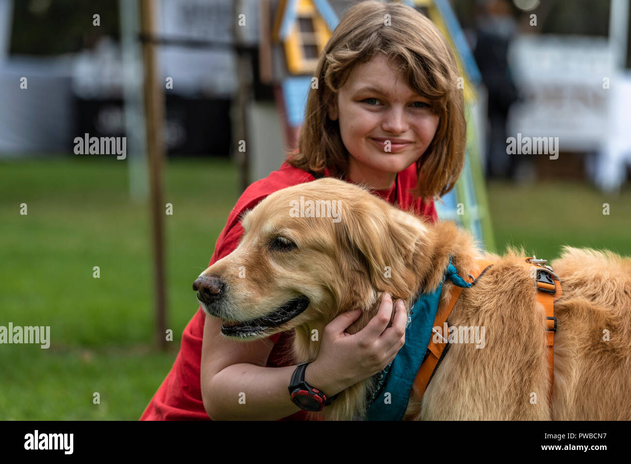 Huntington Beach, USA. 14Th Oct, 2018. Huntington Beach, CA. Des centaines de golden retrievers se rassemblent à l'Huntington Central Park pour le 2e rapport annuel Palooza Goldie, bénéficiant de l'événement de sauvetage dans la région de Los Angeles et à Porto Rico le dimanche, Octobre 14, 2018. Credit : Benjamin Ginsberg/Alamy Live News Banque D'Images