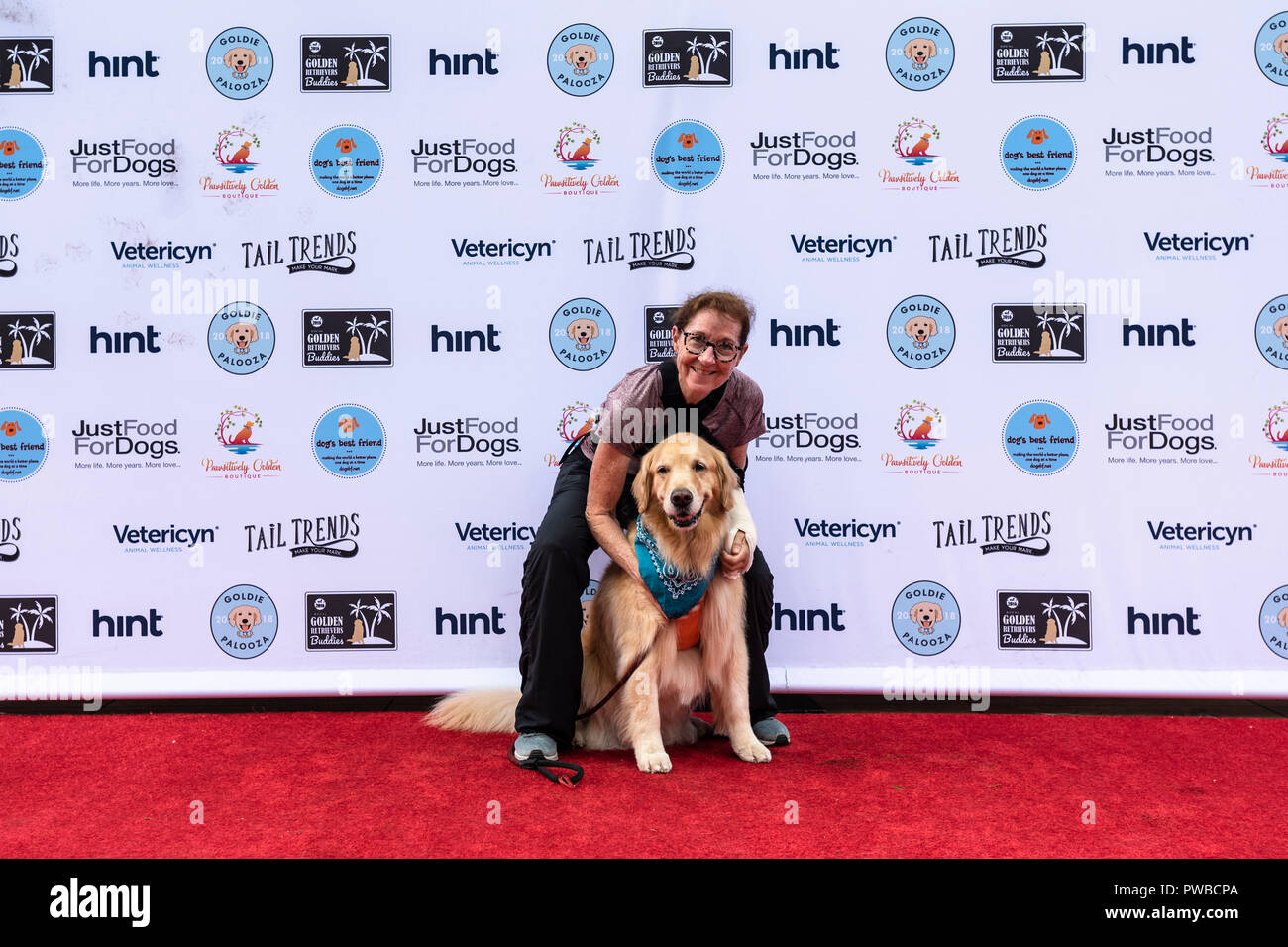 Huntington Beach, USA. 14Th Oct, 2018. Huntington Beach, CA. Des centaines de golden retrievers se rassemblent à l'Huntington Central Park pour le 2e rapport annuel Palooza Goldie, bénéficiant de l'événement de sauvetage dans la région de Los Angeles et à Porto Rico le dimanche, Octobre 14, 2018. Credit : Benjamin Ginsberg/Alamy Live News Banque D'Images