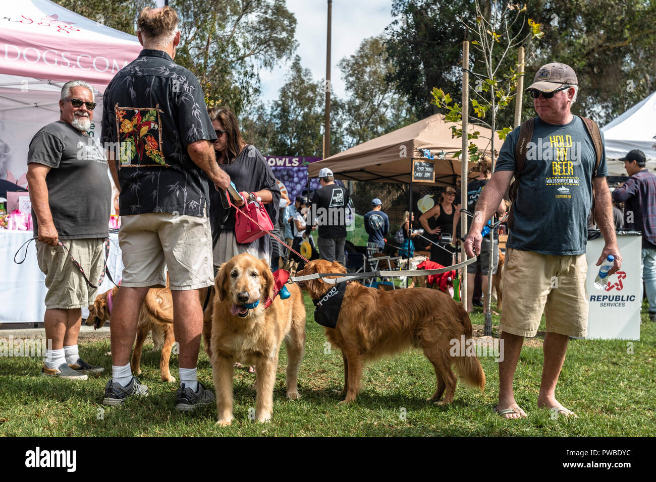 Huntington Beach, USA. 14Th Oct, 2018. Huntington Beach, CA. Des centaines de golden retrievers se rassemblent à l'Huntington Central Park pour le 2e rapport annuel Palooza Goldie, bénéficiant de l'événement de sauvetage dans la région de Los Angeles et à Porto Rico le dimanche, Octobre 14, 2018. Credit : Benjamin Ginsberg/Alamy Live News Banque D'Images