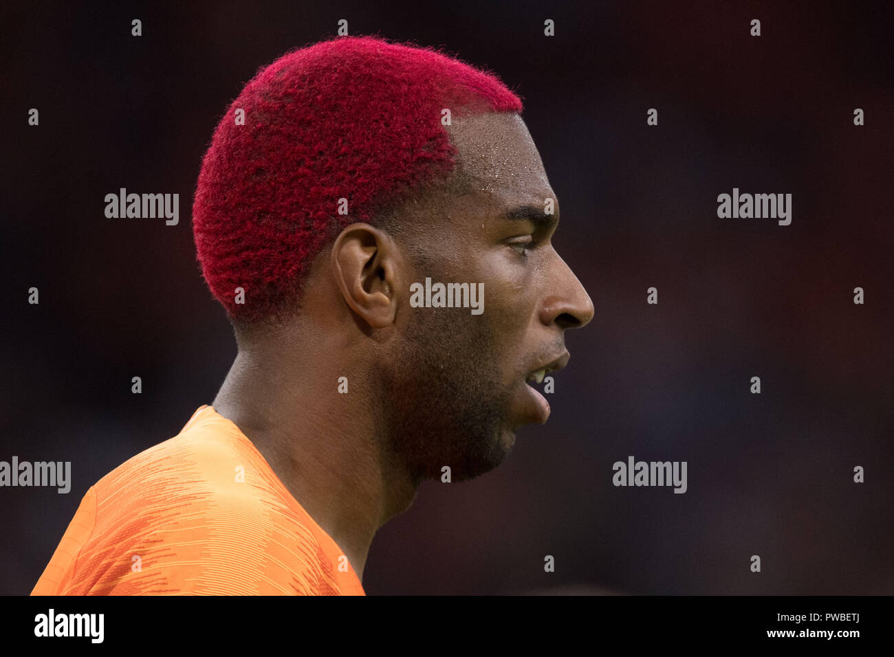 Ryan BABEL (NED) avec les cheveux teints en rouge, teintes, teintes,  teintes, rouge, demi-longueur, match de football, Ligue nationale des  Nations Unies, Pays-Bas (NED) - Allemagne (GER) 3 : 0, le 13.10.2018