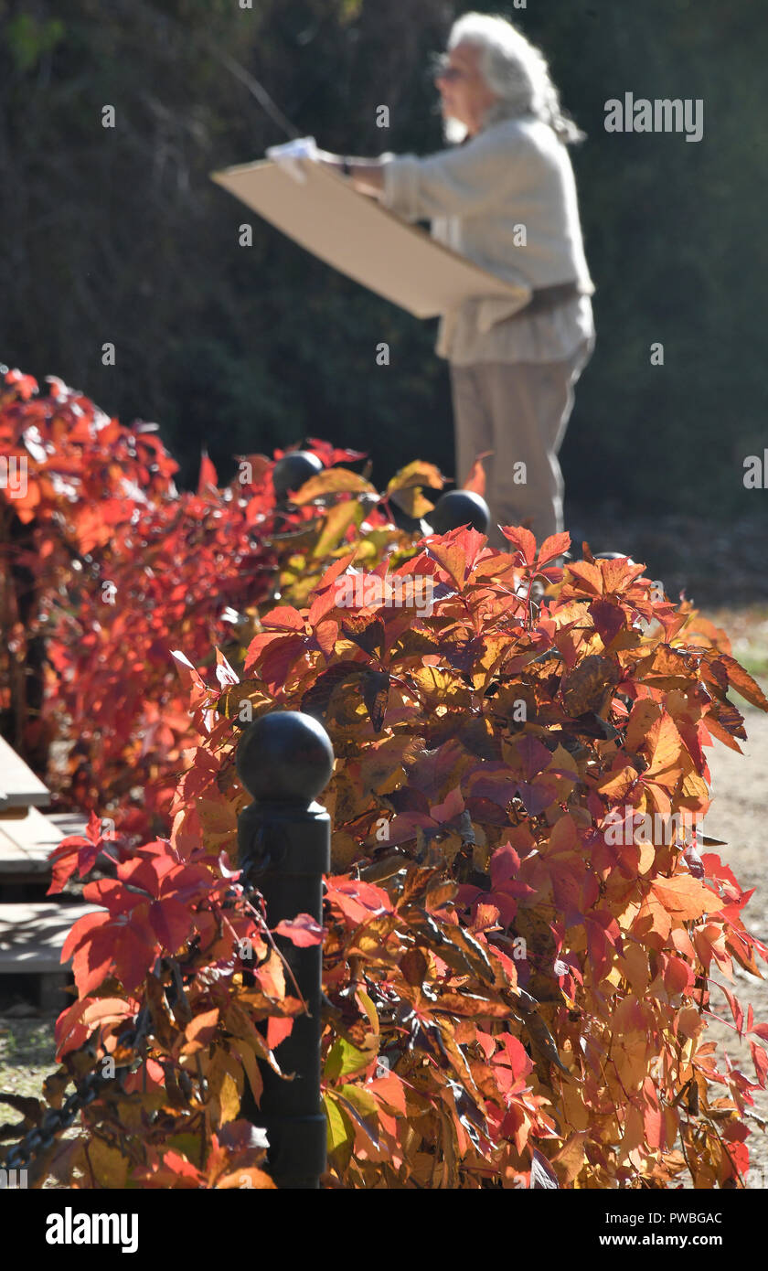 Potsdam, Brandebourg. 15 Oct, 2018. Une femme dans le parc de Sanssouci brosse un tableau de l'humeur d'automne. Crédit : Bernd Settnik/dpa-Zentralbild/ZB/dpa/Alamy Live News Banque D'Images