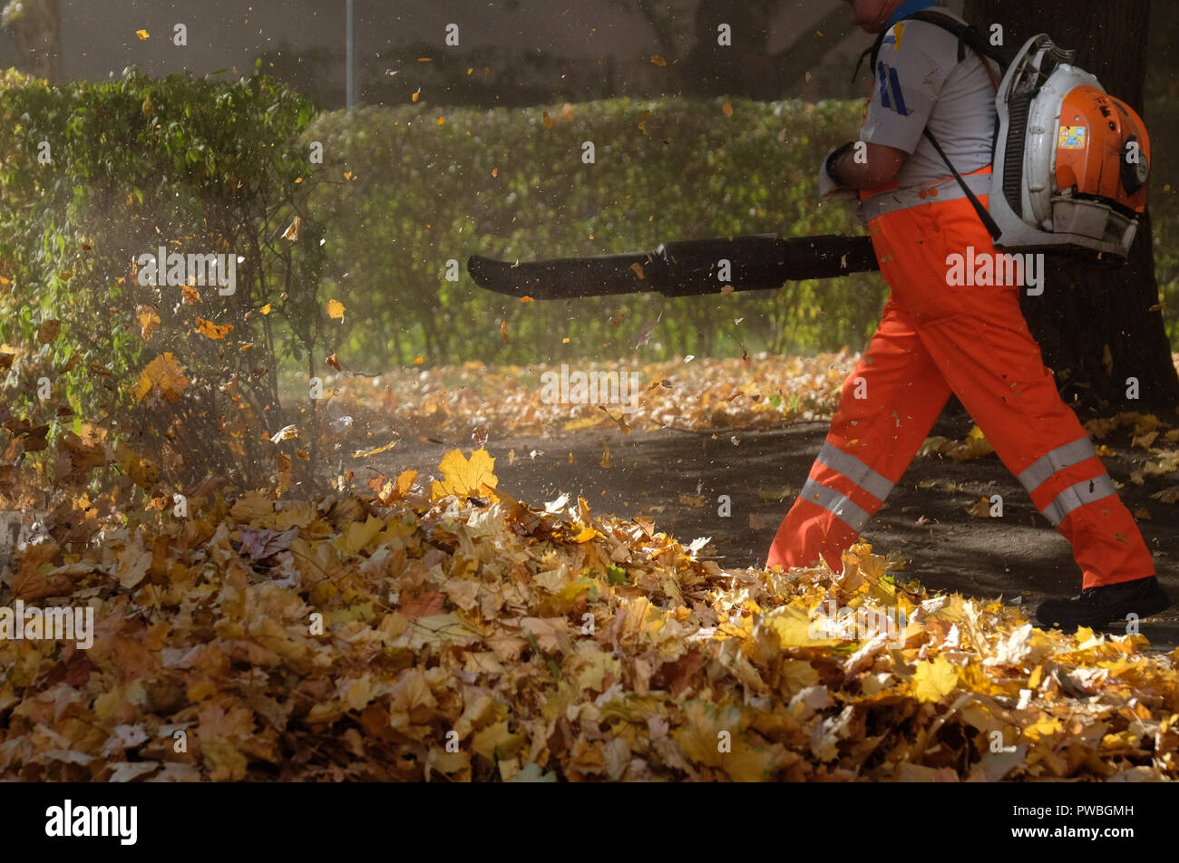 Leipzig, Saxe. 15 Oct, 2018. Un employé de la Leipziger Stadtreinigung fonctionne avec un ventilateur de feuille. Credit : Sebastian Willnow/dpa-Zentralbild/dpa/Alamy Live News Banque D'Images