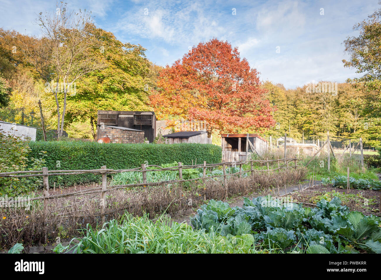 Jardins de la voiture Rhyd-y-cottages des mineurs dans le Musée de St Fagans Welsh Life, Cardiff Banque D'Images